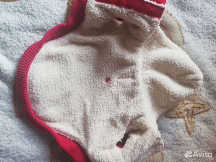 Одежда для маленькой собаки