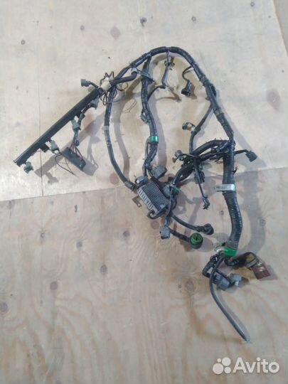 Проводка двигателя Honda Accord F20A4 89-98 Rover