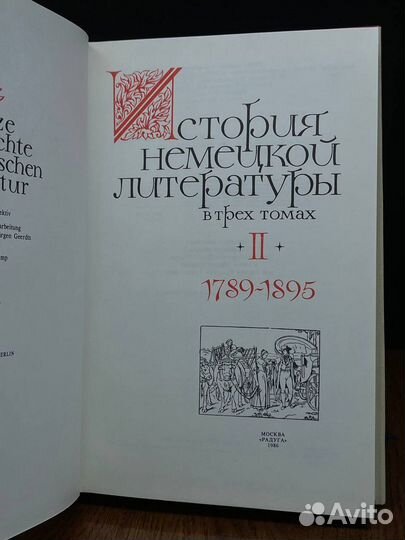 История немецкой литературы в трех томах. Том 2. 1