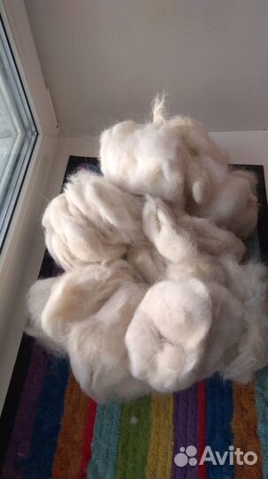 Собачья шерсть пух