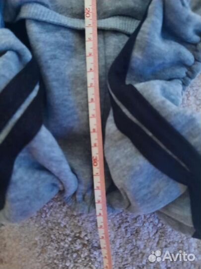 Спортивный костюм для собаки