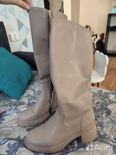 Сапоги женские демисезонные