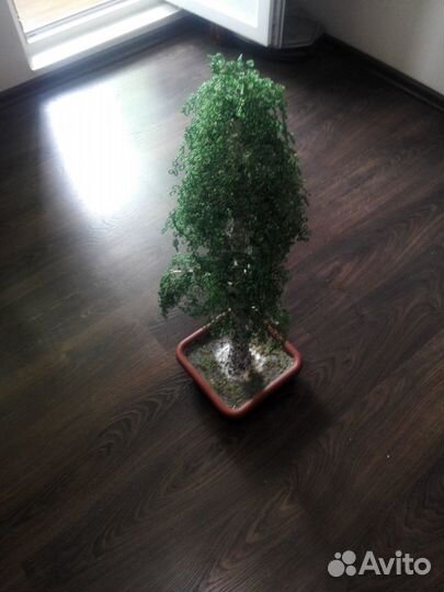 Бонсай Берёзка ручной работы