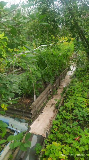 Участок 5 сот. (СНТ, ДНП)