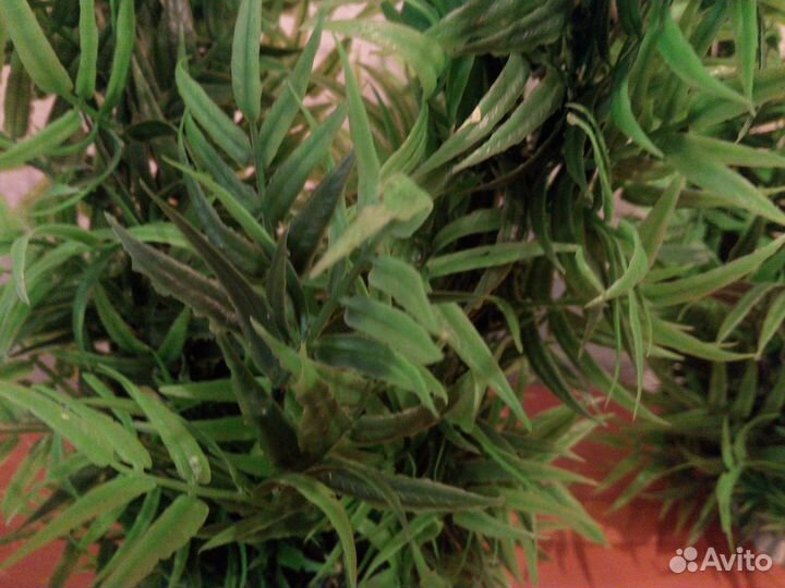 Аксессуары для аквариума