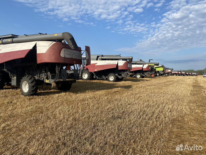 Уборка урожая 2024