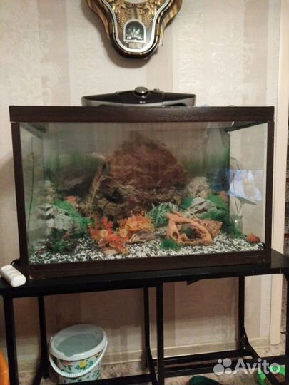 Аквариум рыбки фильтр