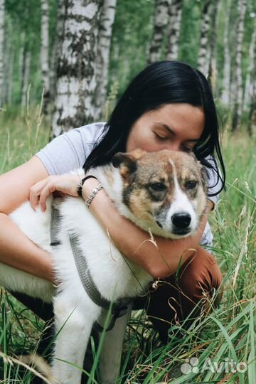 Нежный Раф в дар