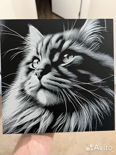 Коты - 3д-картины