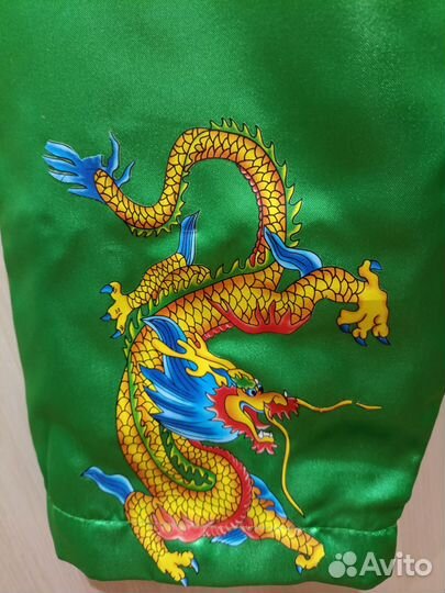 Замечательный костюм Дракона