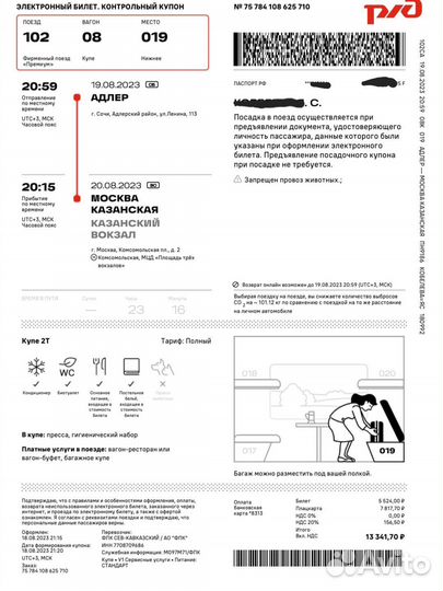 Электронный билет на поезда