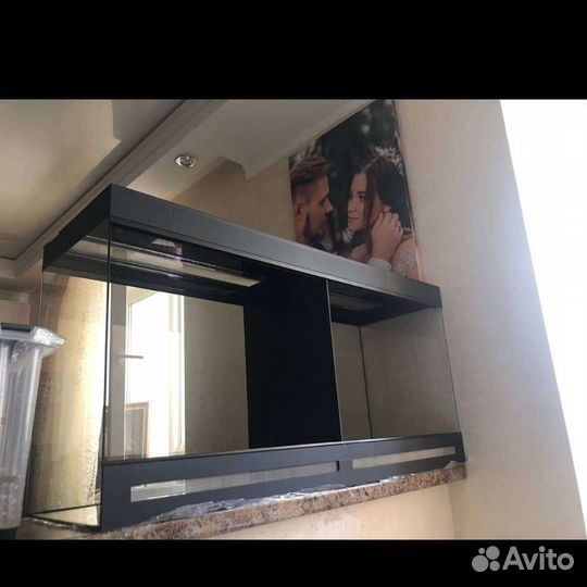 Террариумы для рептилий