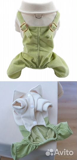 Костюм для собачки