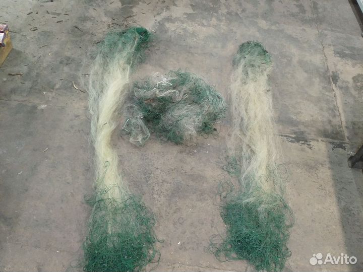 Китайка удочка