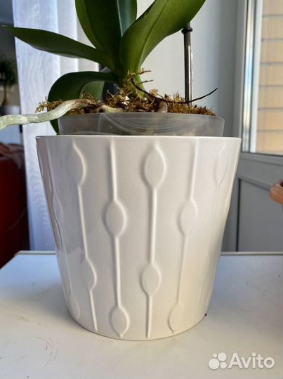 Кашпо для цветы икеа