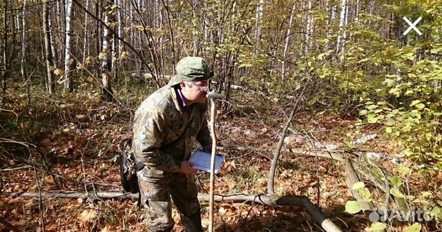 Отвод лесосек аттестация. Отвод лесосек. Отвод делянок. Отвод лесосек под рубку. Таксация леса это.