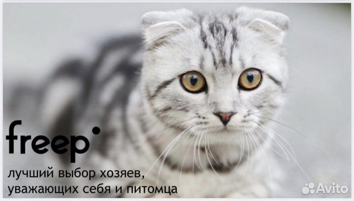 Наполнитель для кошачьего туалета