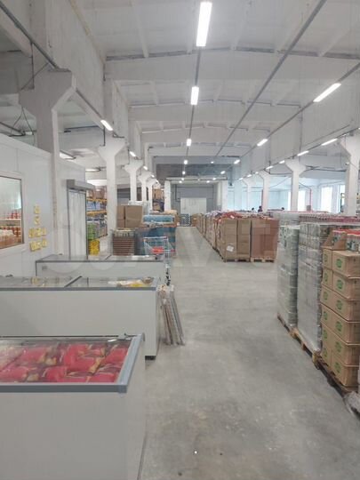 Торговая площадь, 1128 м²