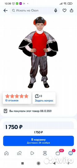 Костюм снегиря