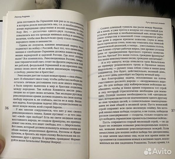 Революция продолжается. 1917 год глазами писателей