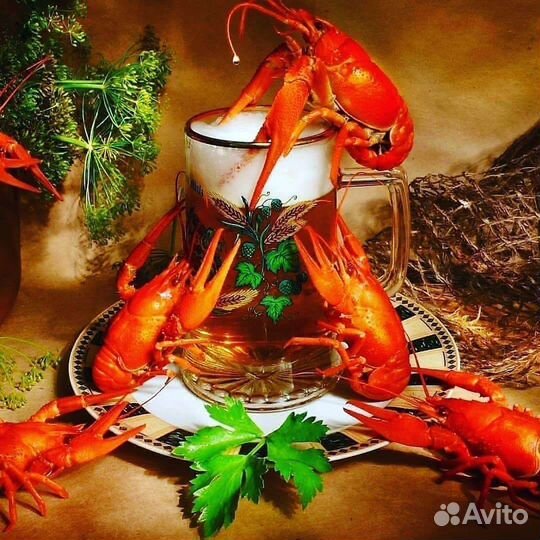 Раки (центр)