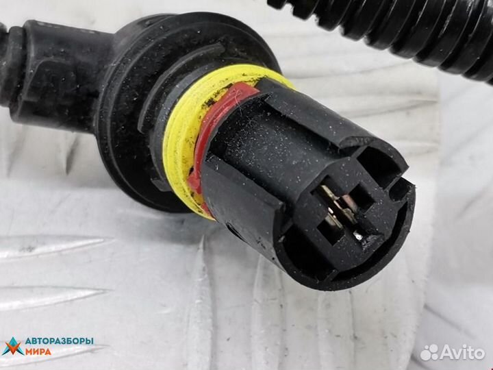 Проводка BMW 5 E60/E61 2005 12427789231