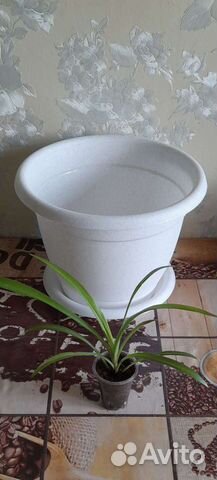 Горшок для цветов 