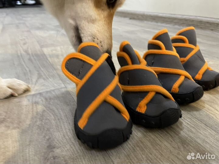 Ботинки зимние для собак