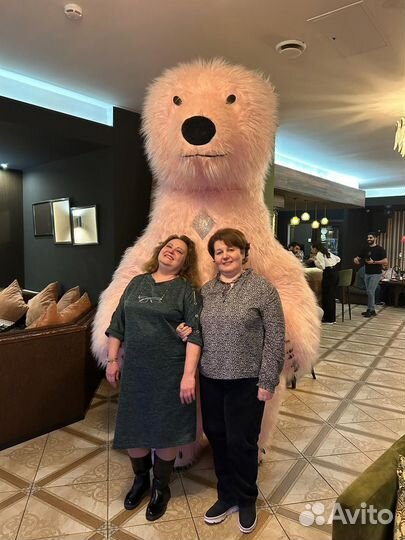 Поздравление Розовый мишка