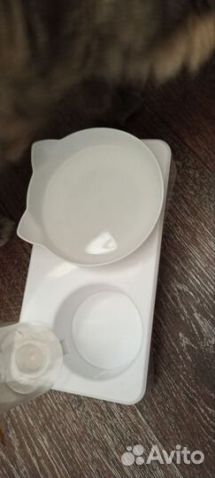 Поильник для кошек