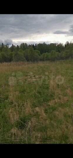 Участок 2 га (СНТ, ДНП)