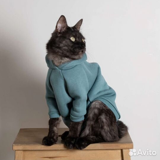 Утепленное худи толстовка для кошек и собак мелких