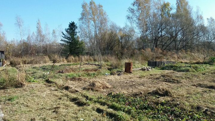 Дача 29 м² на участке 20 сот.