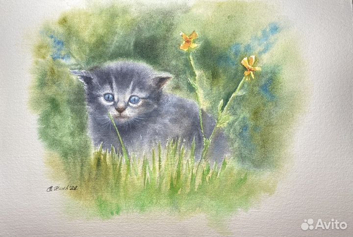 Акварель «Котик» 21x30 картина