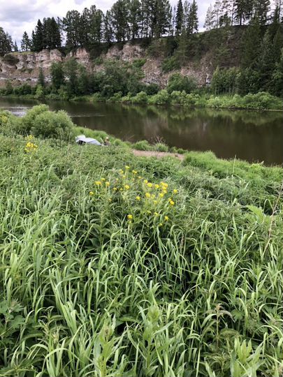 Участок 20 сот. (ИЖС)