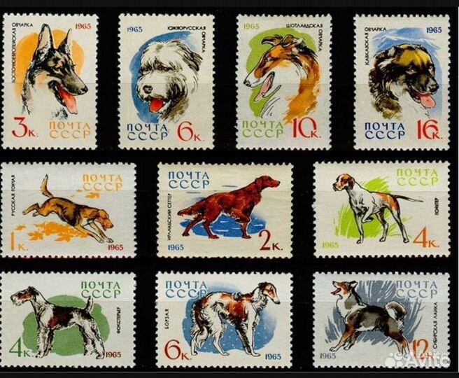 Почтовые марки СССР 1965 год Служебные собаки