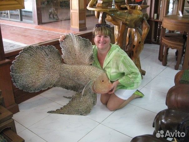 Няня на час, день, ночь