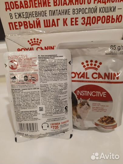 Корм для кошек royal canin влажный