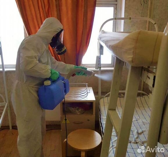Уничтожение тараканов и клопов, Дезинсекция