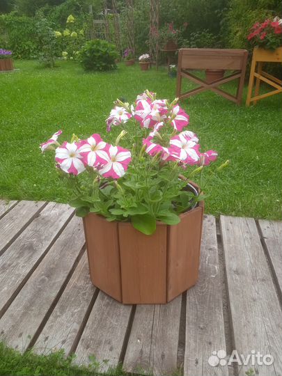 Кашпо для цветов (ящик, горшок, вазон)