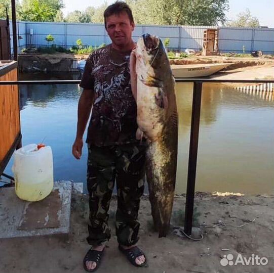 Рыбалка в Астрахани (с. Гандурино), г. Астрахань