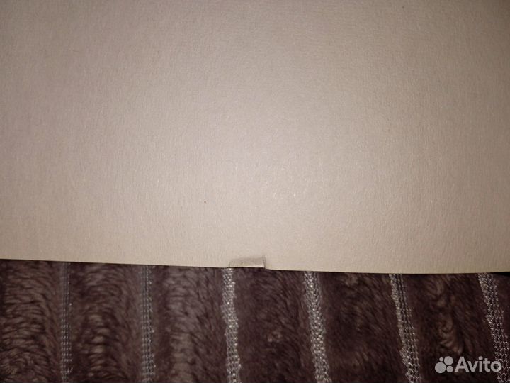 Синтонимы 2 книга - Медина Мирай