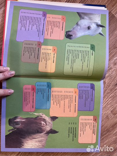 Сама интересная книга о лошадях