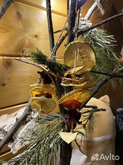 Хобби для животных