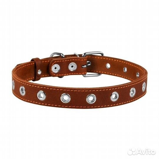 Ошейник безразмерный (ширина 25мм длина 60см ) кор