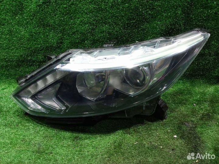 Фара Qashqai J11 (13) L б/у восстановленная