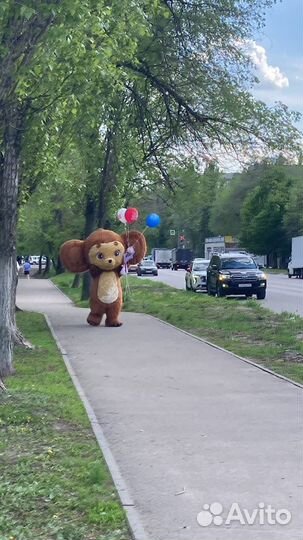 Чебурашка / Медведь / Аниматор на праздник