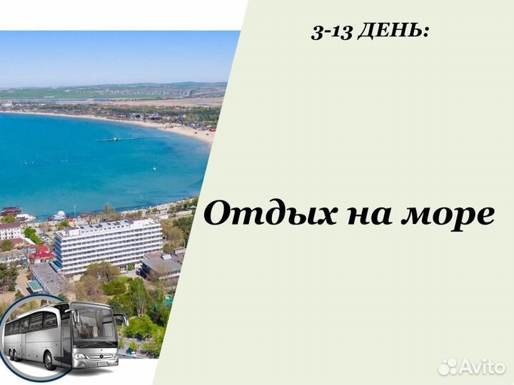 10авг24 Билеты на автобус/хп2006053