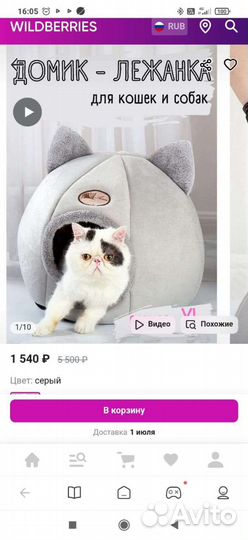 Домик для кошки и миски