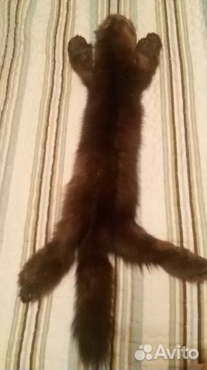 Шкурка соболя и норковое манто